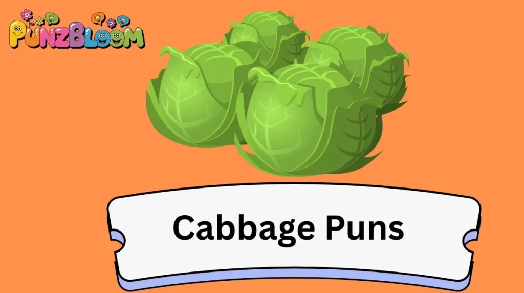 Cabbage Puns