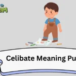 Celibate Meaning Puns