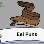 Eel Puns