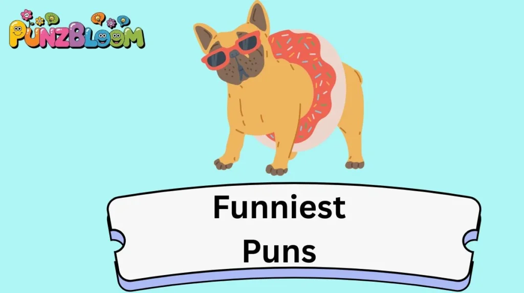 Funniest Puns