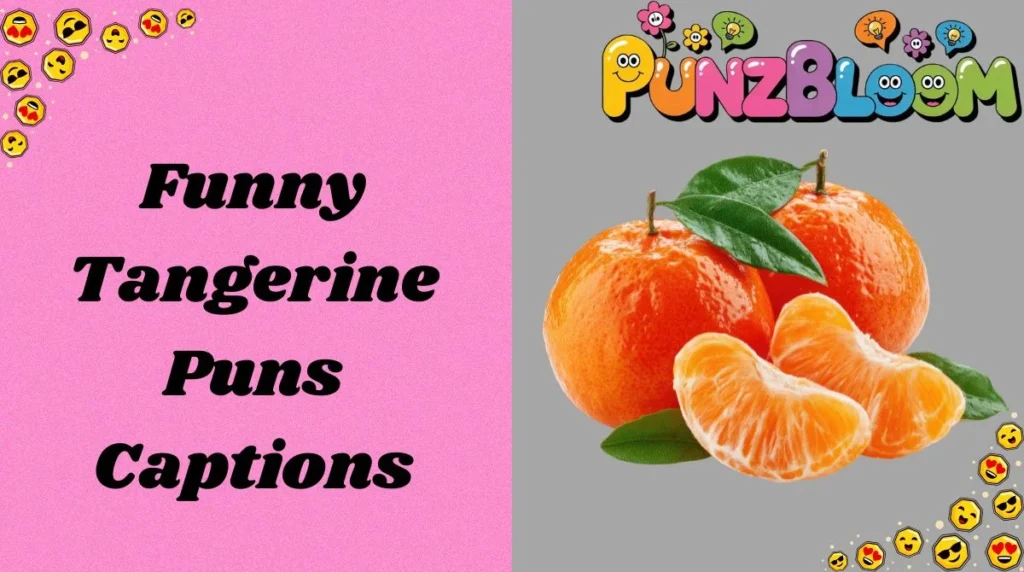 Funny Tangerine Puns Captions