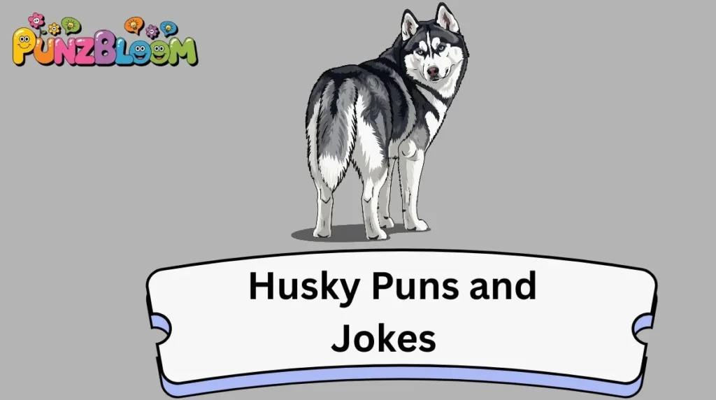 Husky Puns and Jokes