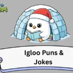 Igloo Puns & Jokes
