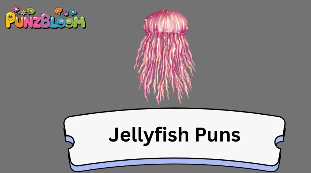 Jellyfish Puns