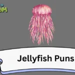 Jellyfish Puns