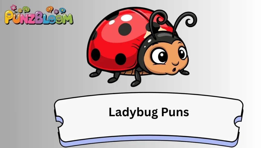 Ladybug Puns
