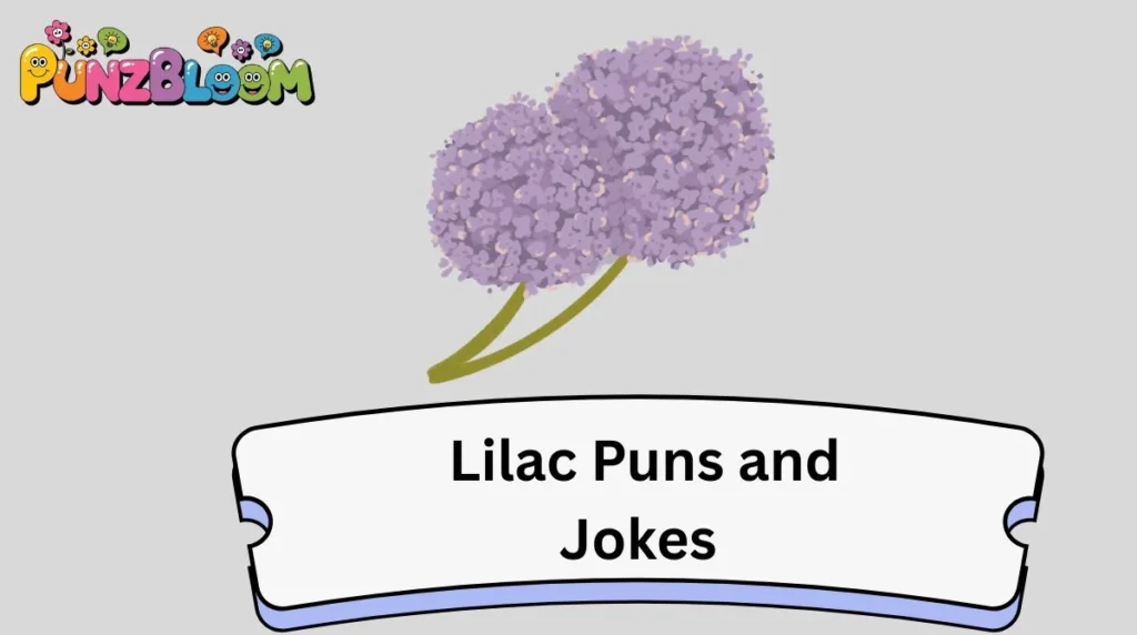 Lilac Puns and Jokes