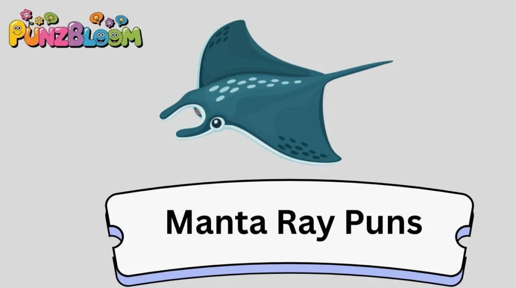 Manta Ray Puns