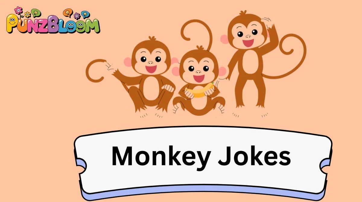 Monkey Jokes