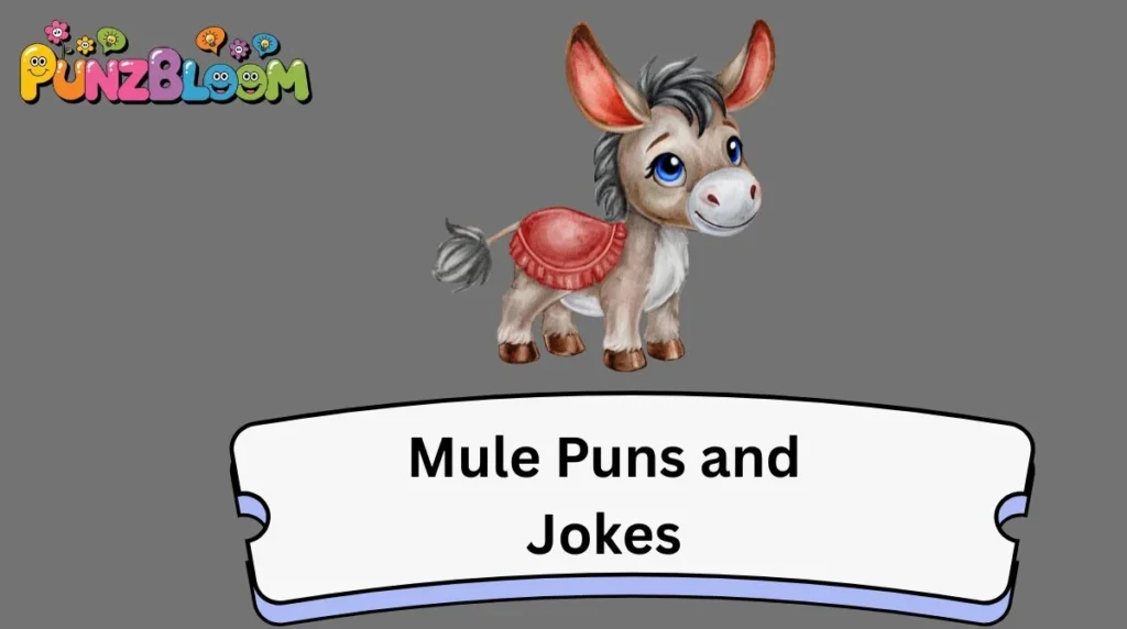Mule Puns and Jokes