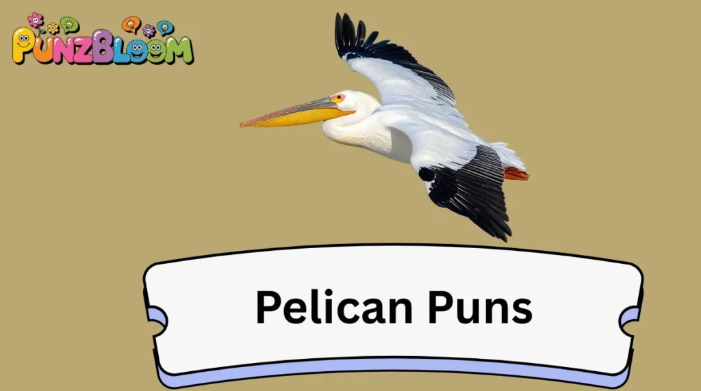 Pelican Puns