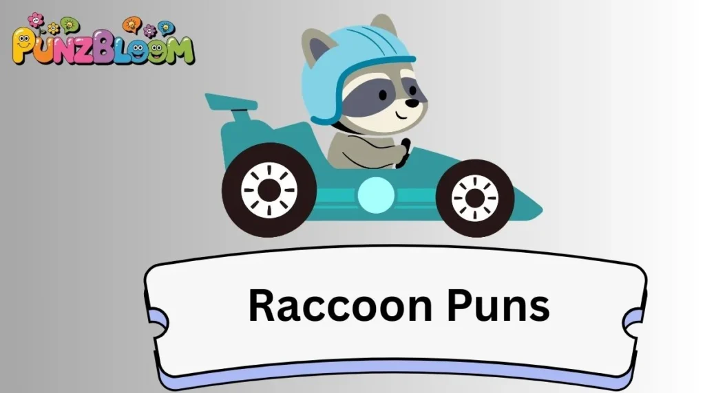 Raccoon Puns