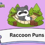 Raccoon Puns