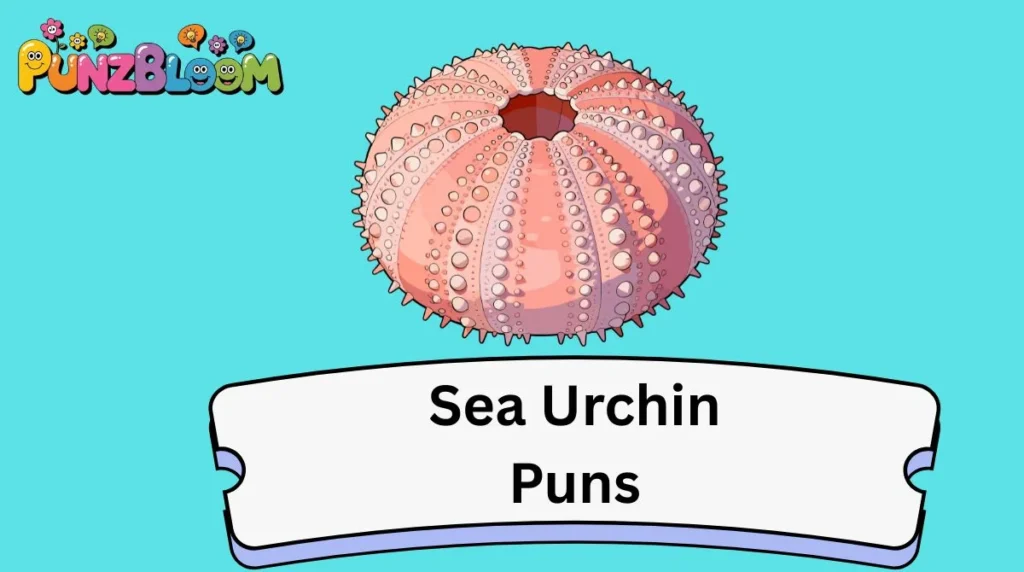 Sea Urchin Puns