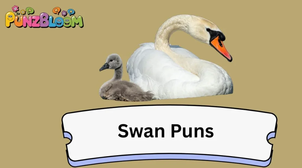 Swan Puns