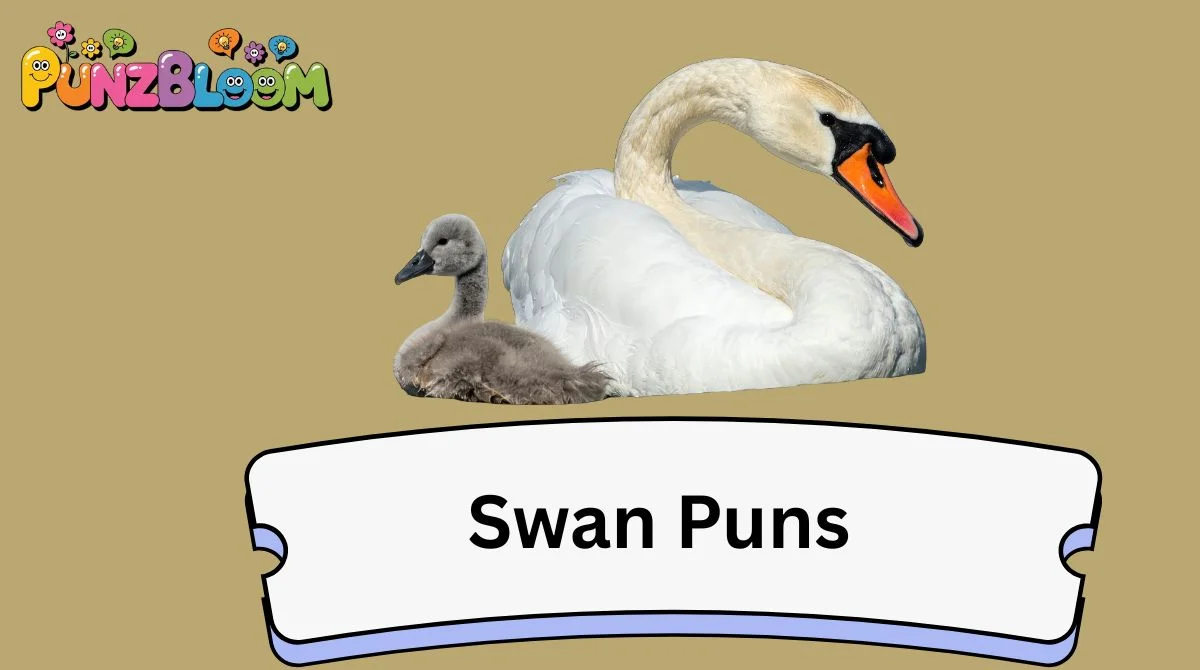 Swan Puns