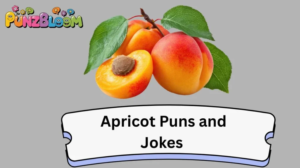 Apricot Puns and Jokes
