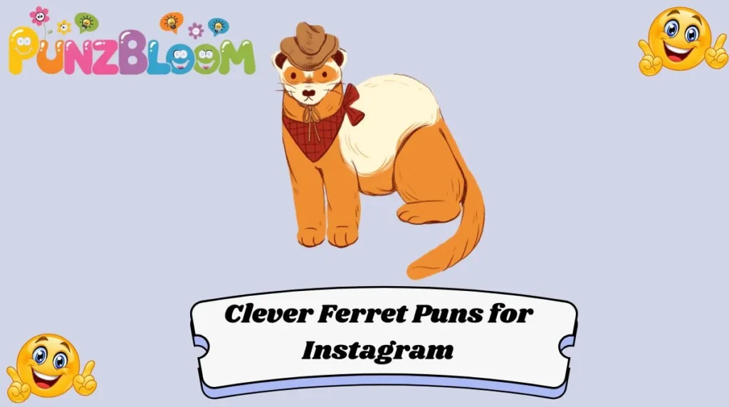 Clever Ferret Puns for Instagram