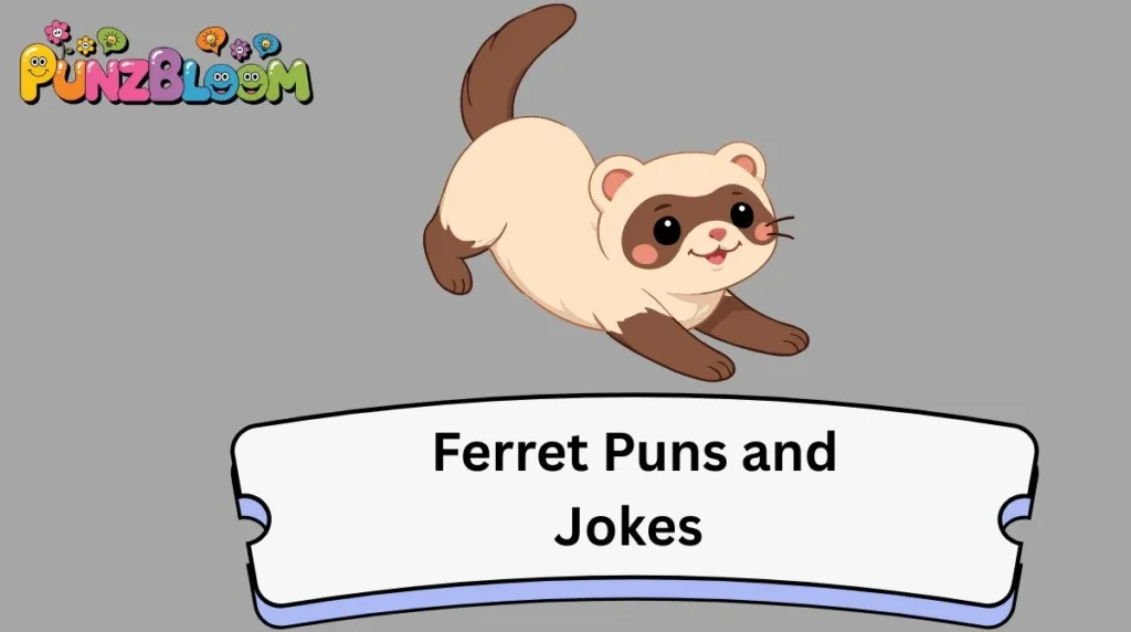 Ferret Puns and Jokes