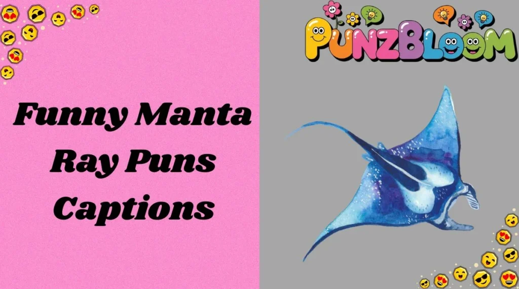 Funny Manta Ray Puns Captions