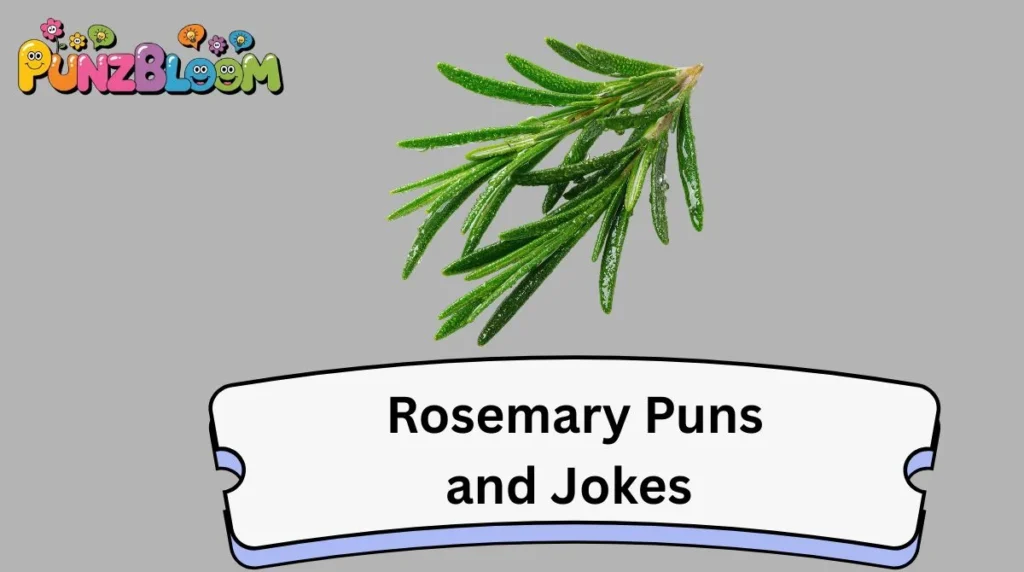 Rosemary Puns and Jokes