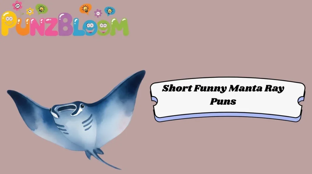 Short Funny Manta Ray Puns