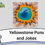 Yellowstone Puns and Jokes