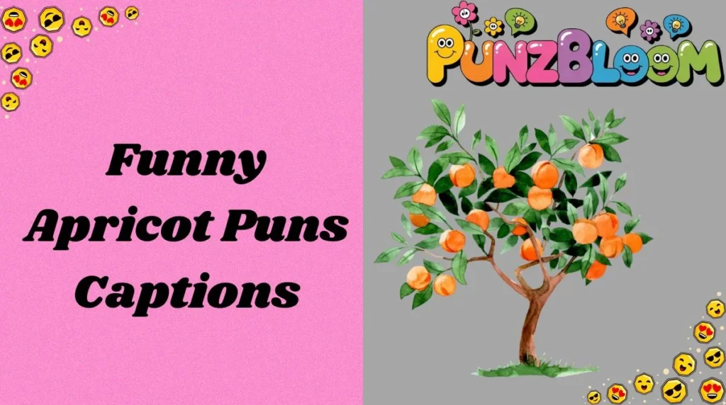 Funny Apricot Puns Captions