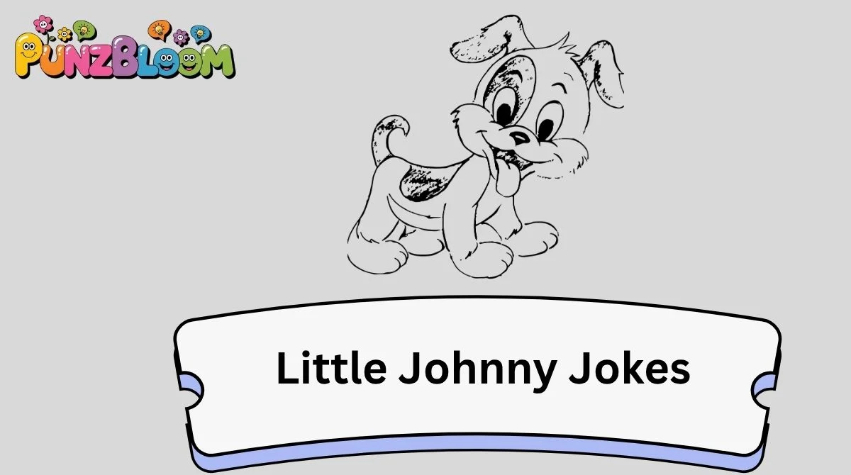Little Johnny Jokes