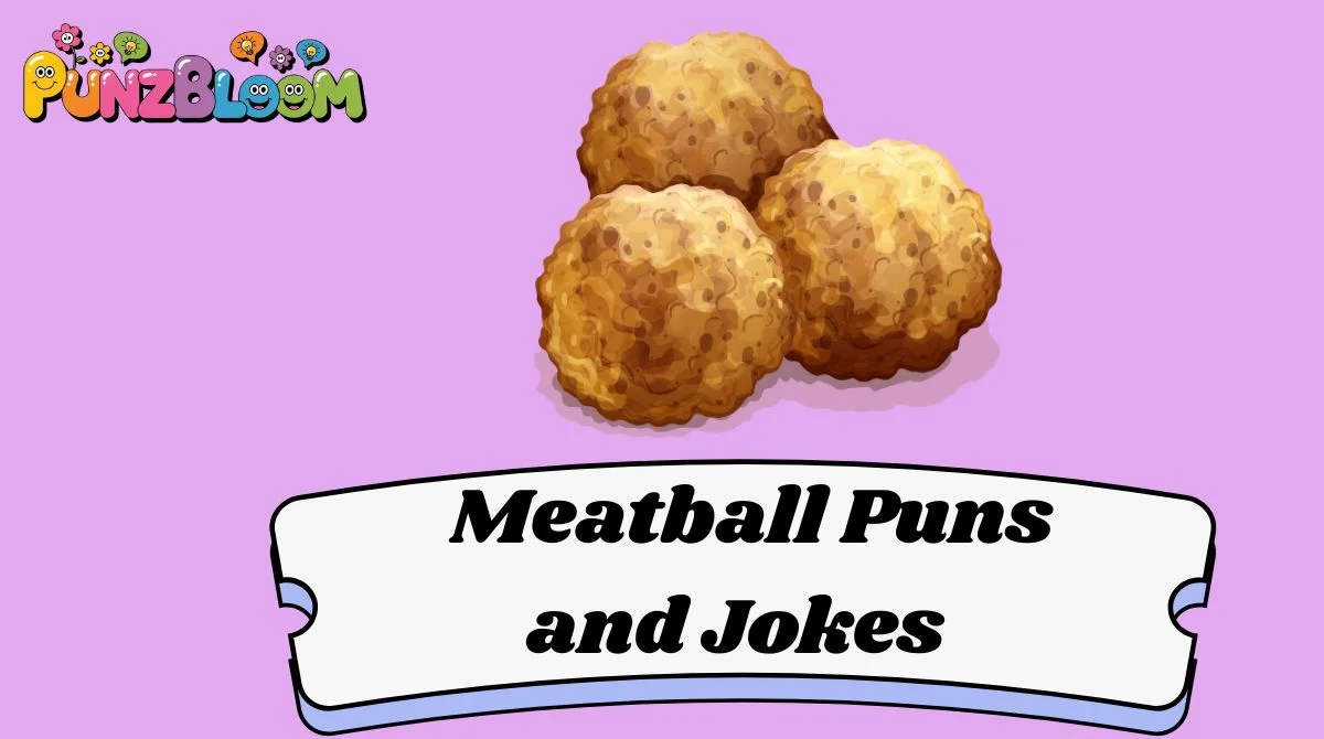 Meatball Puns and Jokes