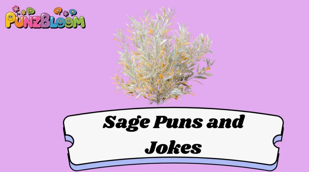 Sage Puns and Jokes