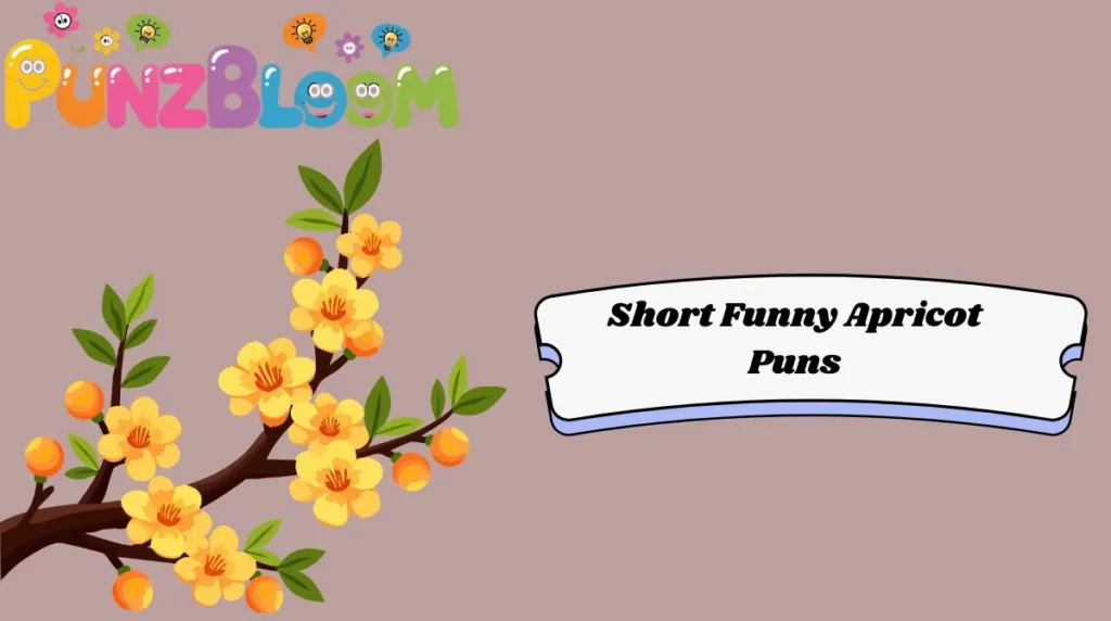 Short Funny Apricot Puns