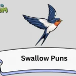 Swallow Puns