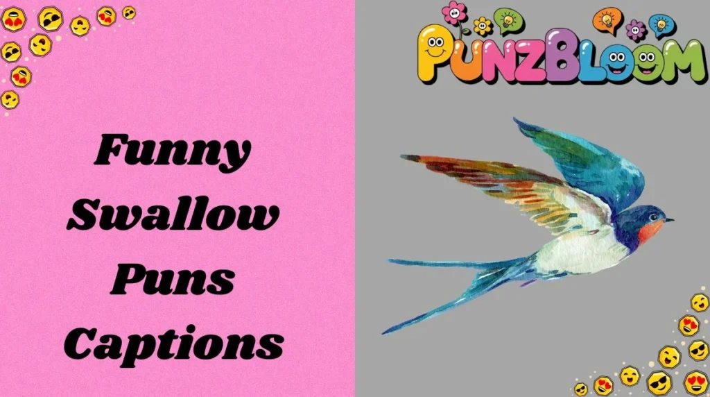 Funny Swallow Puns Captions