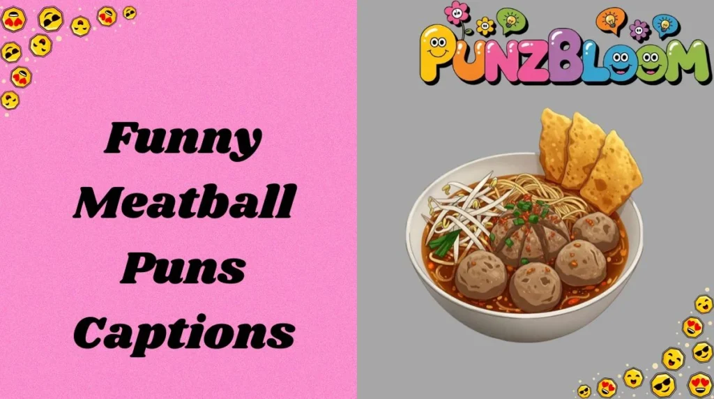 Funny Meatball Puns Captions