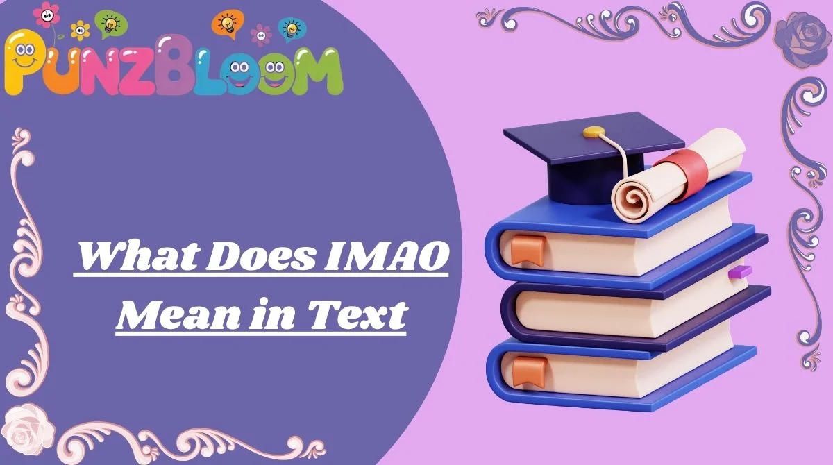 What Does IMAO Mean in Text
