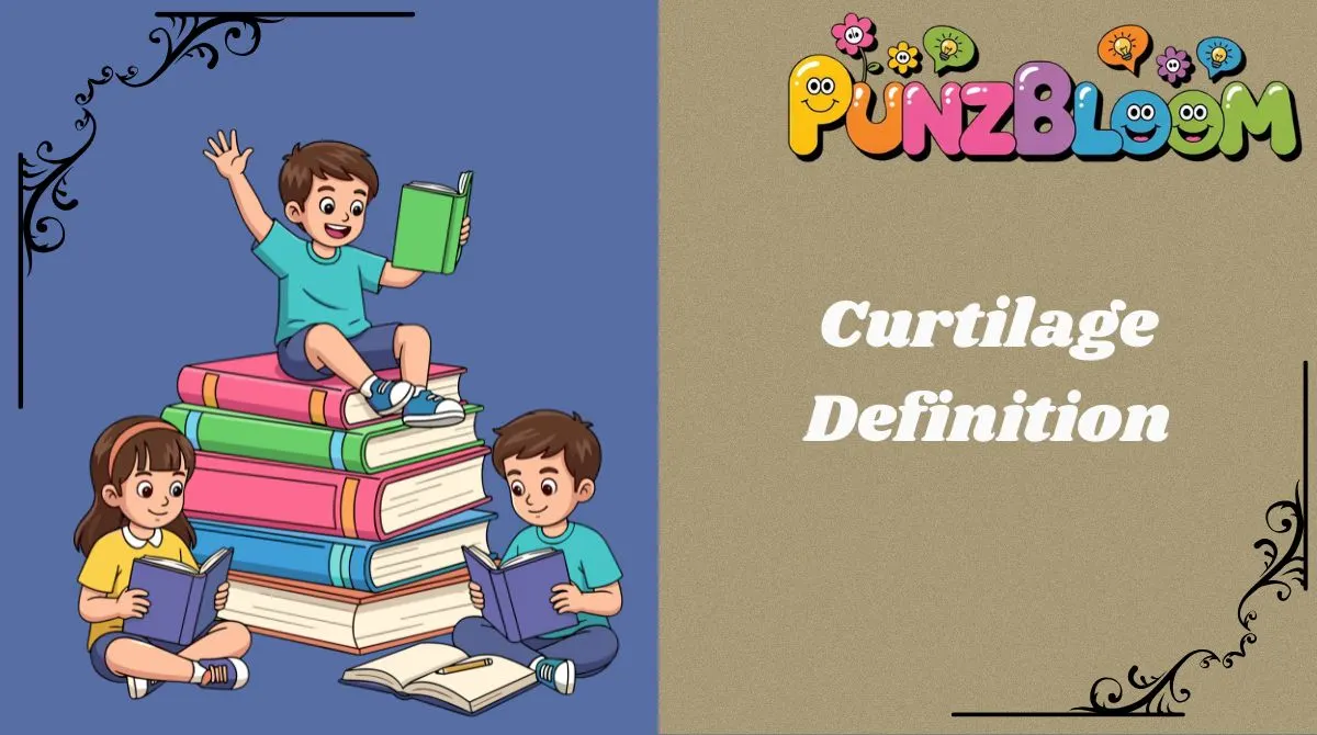 Curtilage Definition