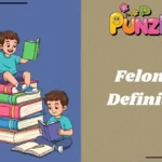 Felonies Definition