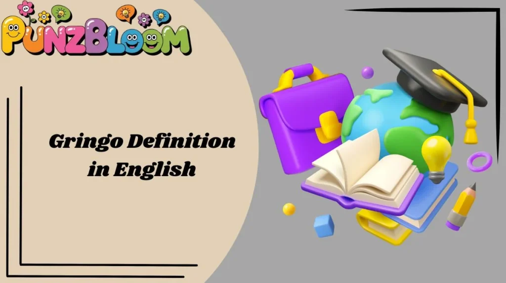 Gringo Definition in English