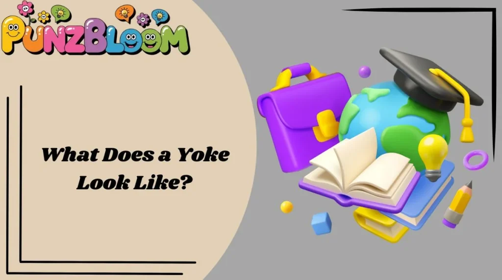 What Does a Yoke Look Like?