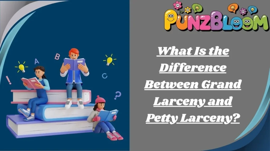 What Is the Difference Between Grand Larceny and Petty Larceny?