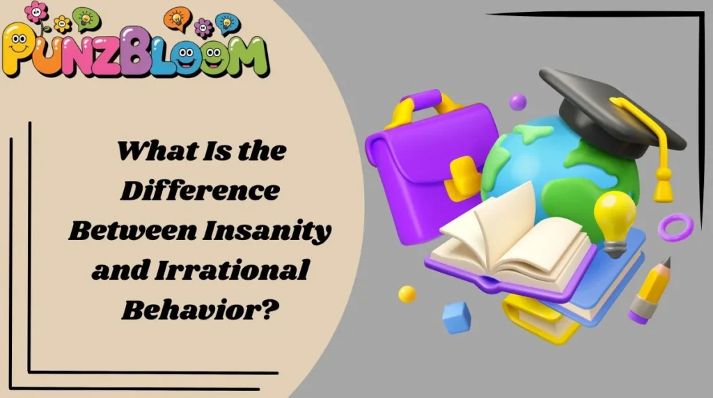 What Is the Difference Between Insanity and Irrational Behavior?